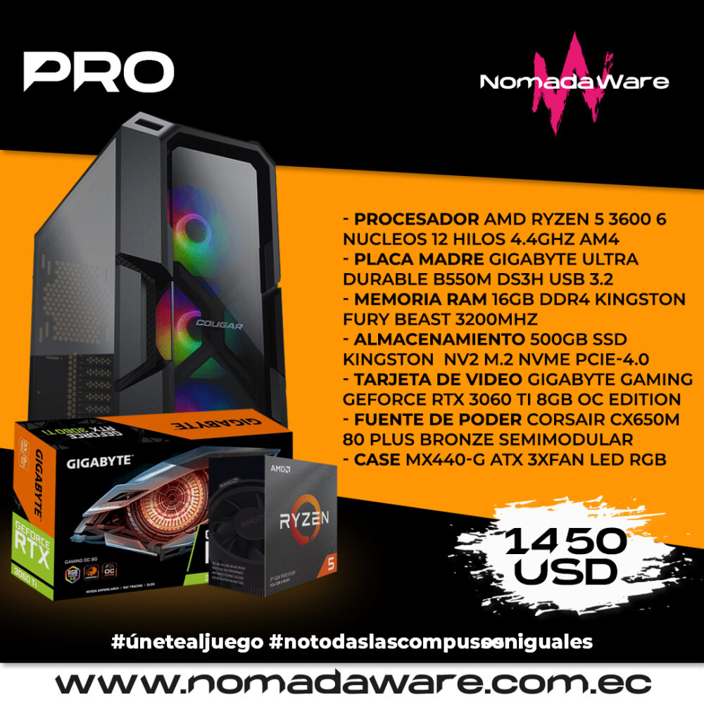 AMD NVIDIA