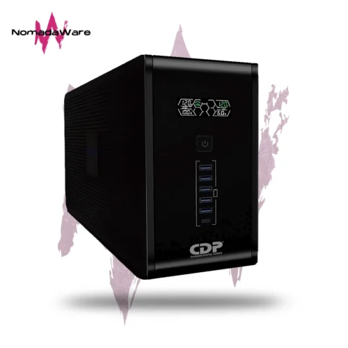 CDP R-SMART 2010