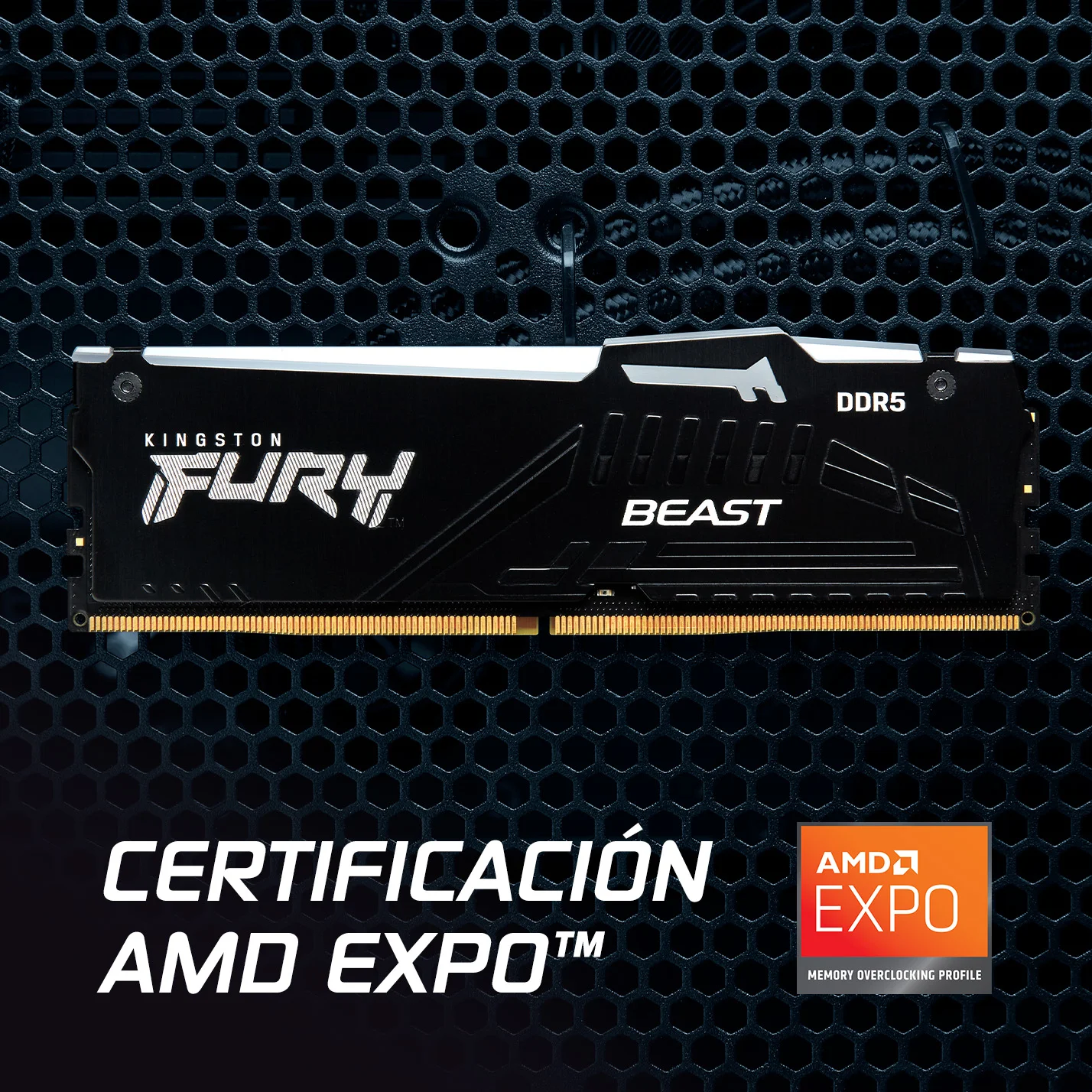 NomadaWare_memoria_ram_kingston_fury_beast_ddr5_RGB (4)