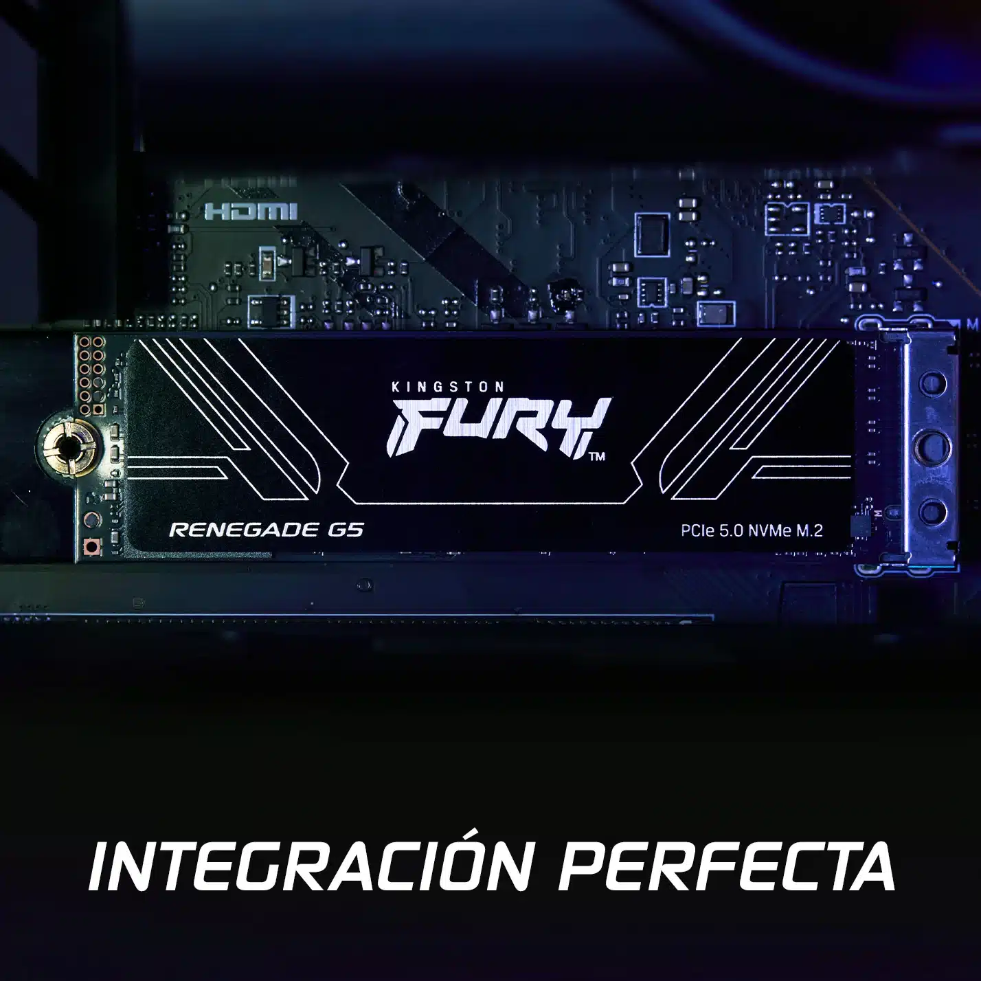 NomadaWare_ssd_kingston_renegade_g5_ (3)